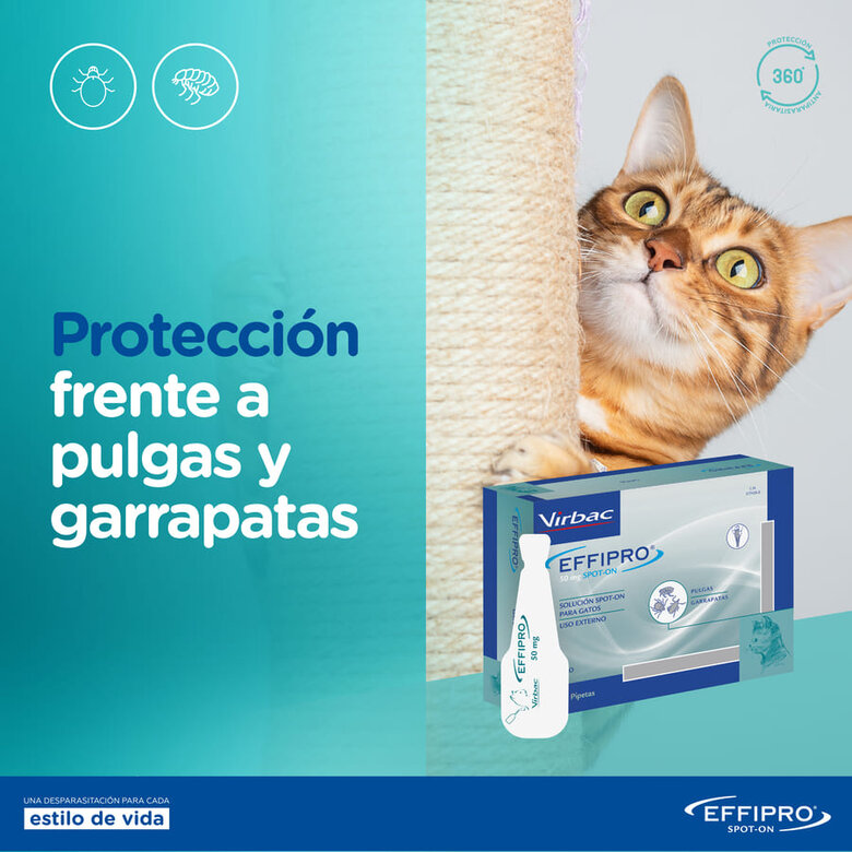 Virbac Effipro Pipetas Antiparasitárias para gatos, , large image number null